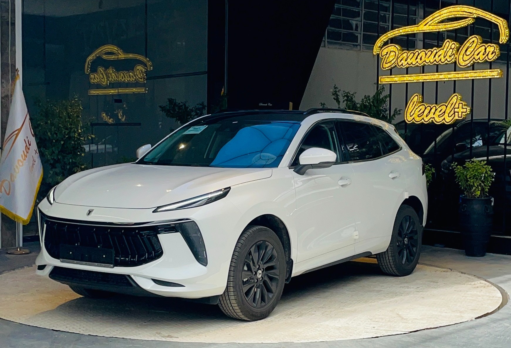 لاماری ایما