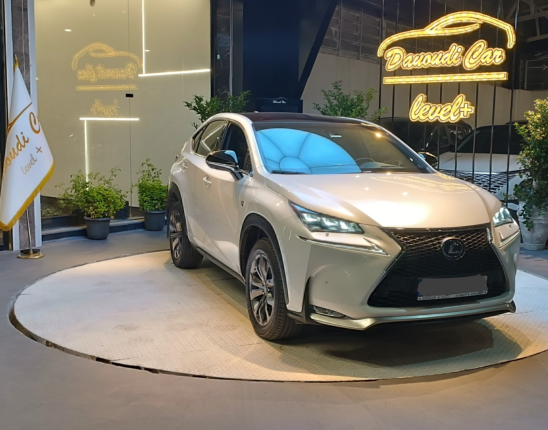 لکسوس Nx300h
